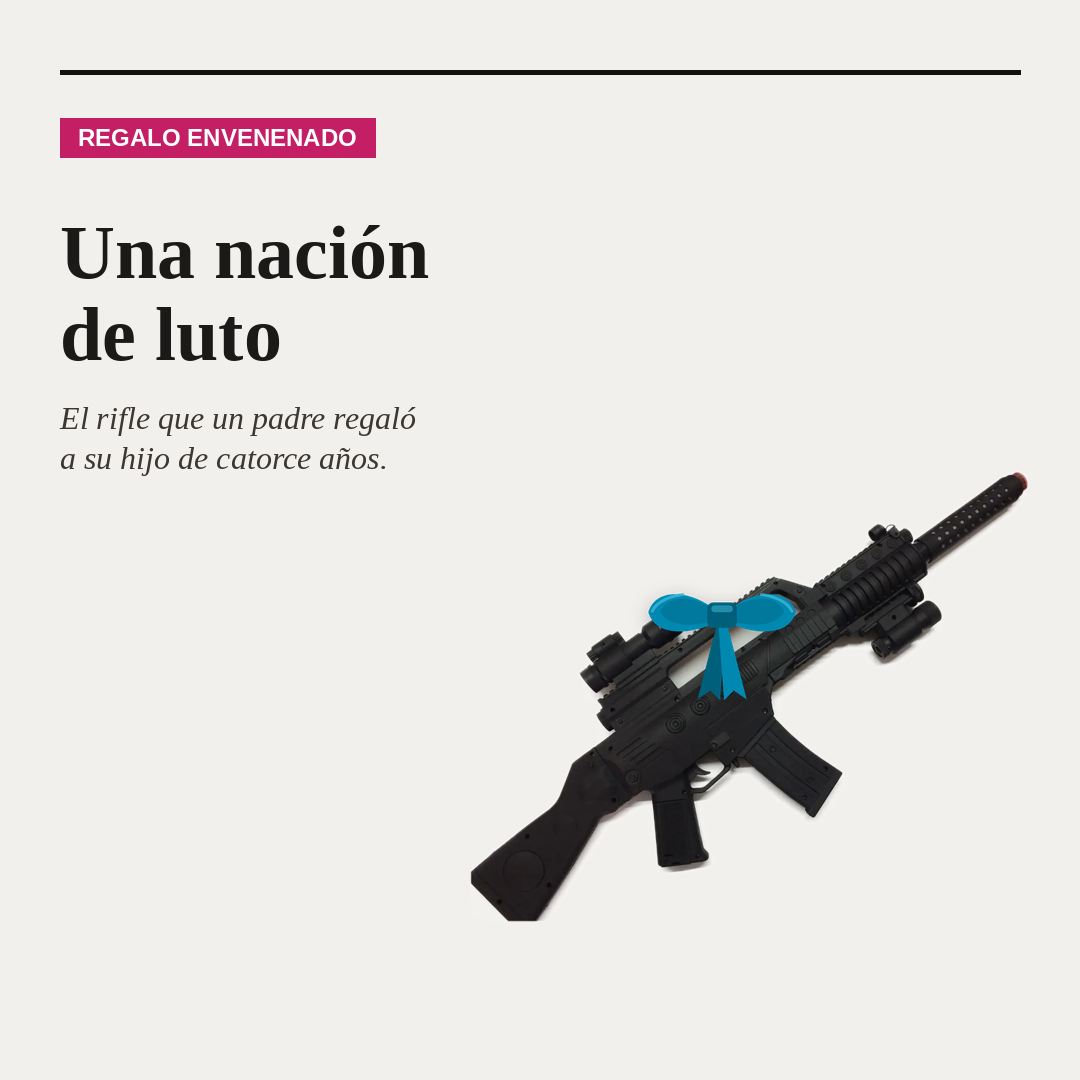 EL BUEN CIUDADANO ARMADO | THE GOOD GUY WITH A GUN